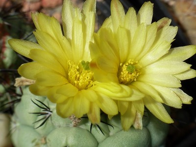 RIMG0008.JPG