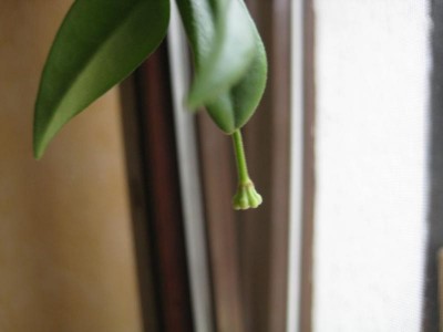 IMG_5697.JPG