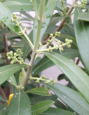 DSCF2058.JPG
