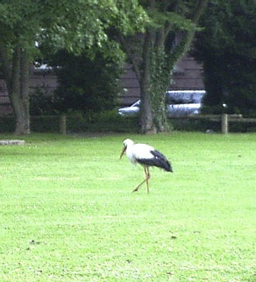 t-und nochmal na sowas.jpg