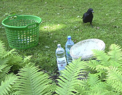 t-stiv auf schnorrertour-080507 022.jpg