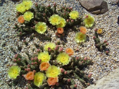 Malter  bis 25.5.09 052.jpg