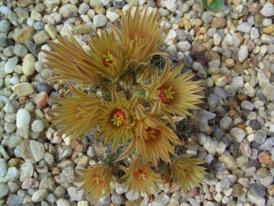 Malter  bis 25.5.09 026.jpg