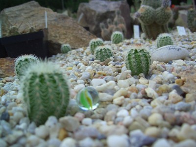 Malter  bis 25.5.09 083.jpg