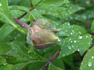 dscn7408.jpg