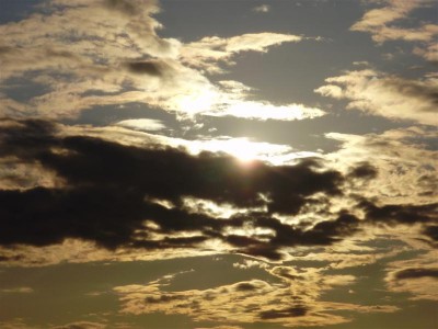 P5140265 (Medium).JPG