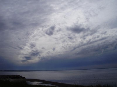 P5140188 (Medium).JPG