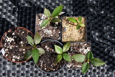 Plumikindergarten - 29.05.2009 - 2.jpg