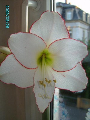 PICT0179.JPG