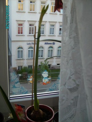 PICT0175.JPG