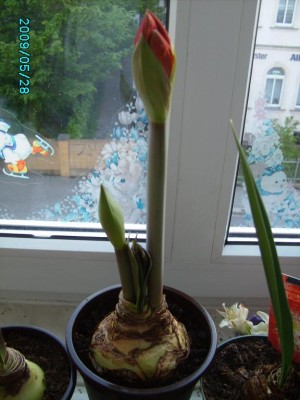 PICT0173.JPG