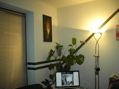 monstera.JPG