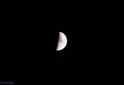 Half_moon_300509.jpg