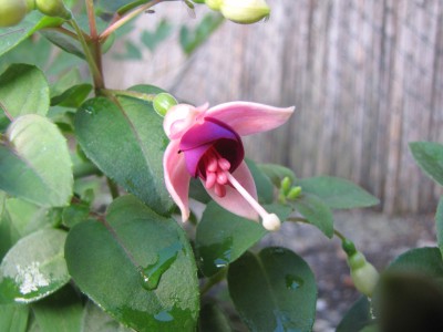 IMG_0588.jpg