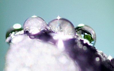 DSC_2289gg.jpg