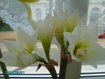 PICT0193.JPG