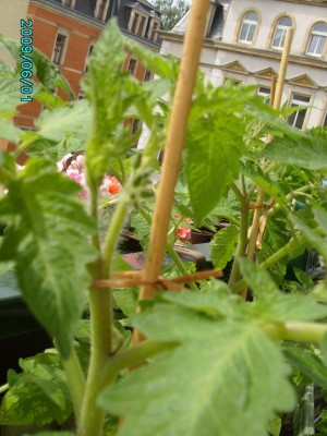 PICT0185.JPG