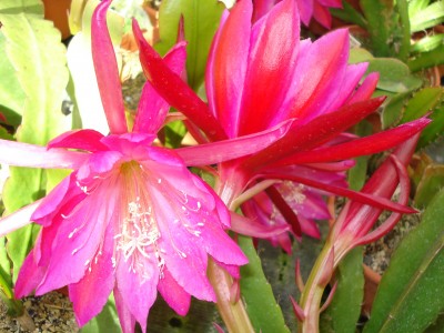 Mai 2009 120.jpg