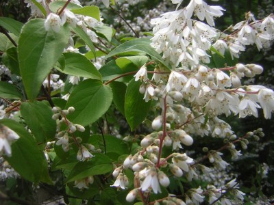 DSCN3515.JPG