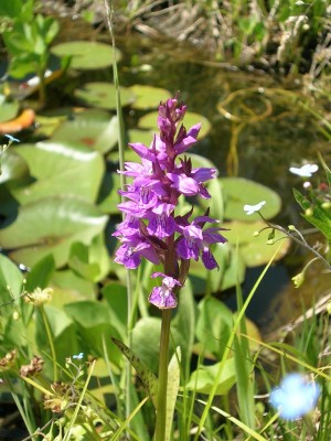 DSCN5541.JPG