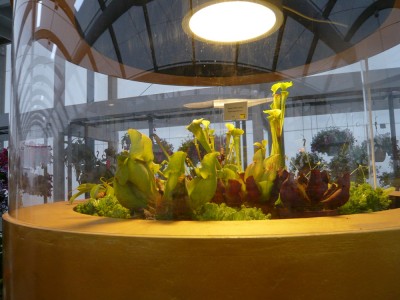P1010487.JPG