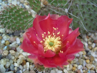 Malter  vom 25.5.09 bis 3.6.09 004.jpg