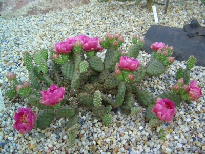 Malter  vom 25.5.09 bis 3.6.09 035.jpg