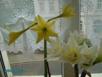 PICT0196.JPG