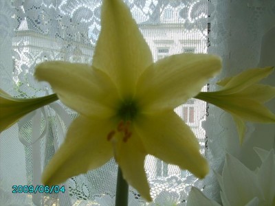 PICT0195.JPG