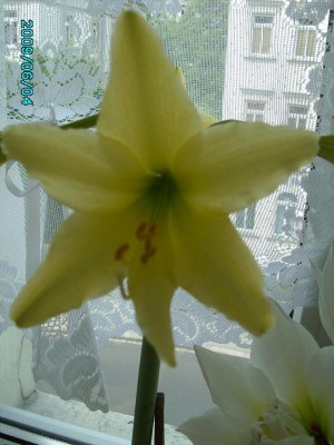 PICT0194.JPG
