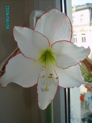 PICT0205.JPG