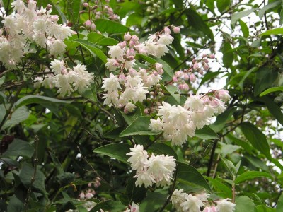 juni_2006_011.jpg