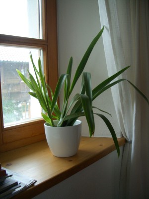 28.05.07-004.jpg