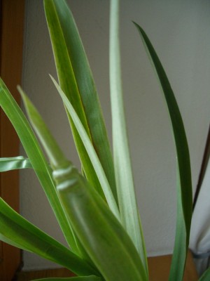 28.05.07-003.jpg