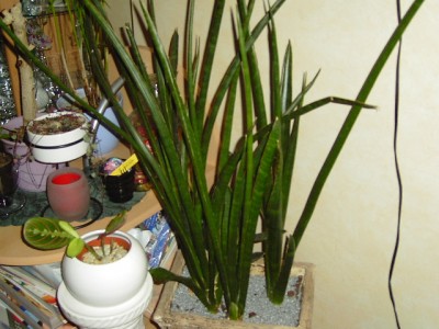 15_10_08 013.jpg