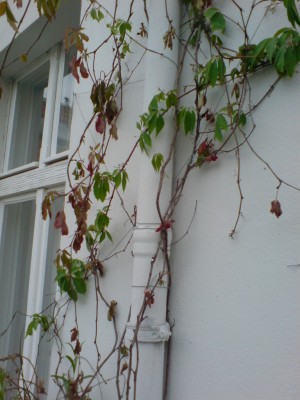 DSC00117.JPG