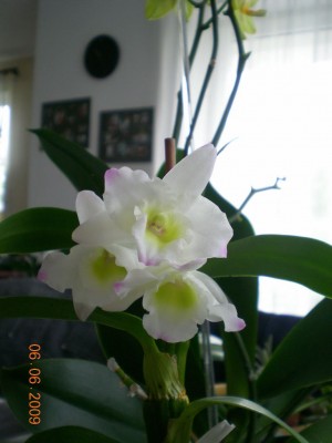 DSCN45160001.JPG