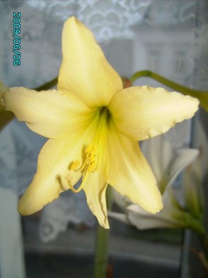 PICT0213.JPG