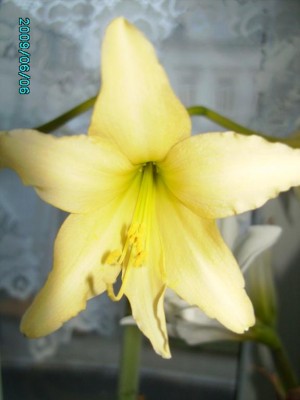 PICT0212.JPG
