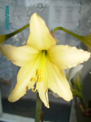 PICT0211.JPG