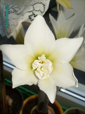 PICT0215.JPG
