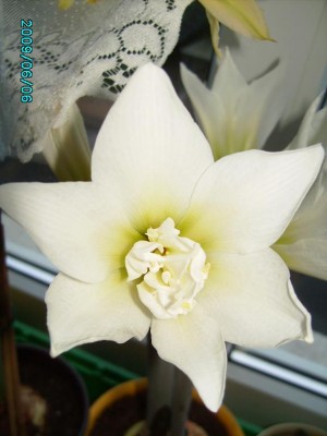 PICT0214.JPG