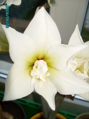 PICT0209.JPG