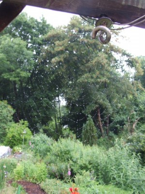 DSCF3665.JPG