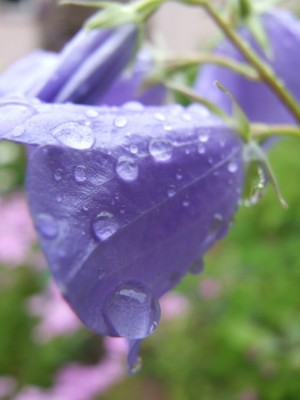 DSCF3657.JPG