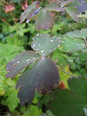 DSCF3655.JPG