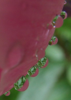 DSCF3654_1.JPG