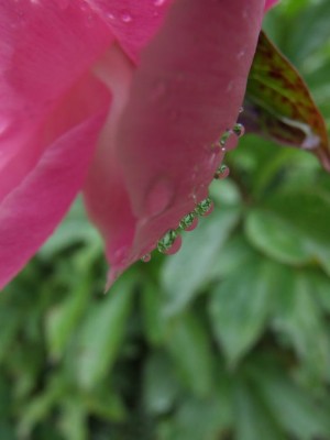 DSCF3654.JPG