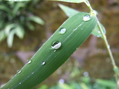 DSCF3641.JPG