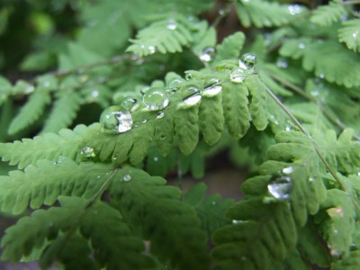 DSCF3636.JPG